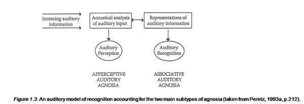 An auditory model of recognition accounting for the two main subtypes of agnosia 
(taken from Peretz, 1993a, p.212).