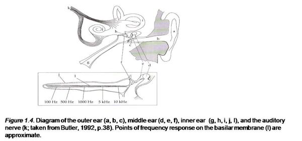 Diagram of the outer ear (a, b, c), middle ear (d, e, f), inner ear  (g, h, i, j, l),
 and the auditory nerve (k; taken from Butler, 1992, p.38). Points of frequency response on the basilar membrane (l) are approximate.