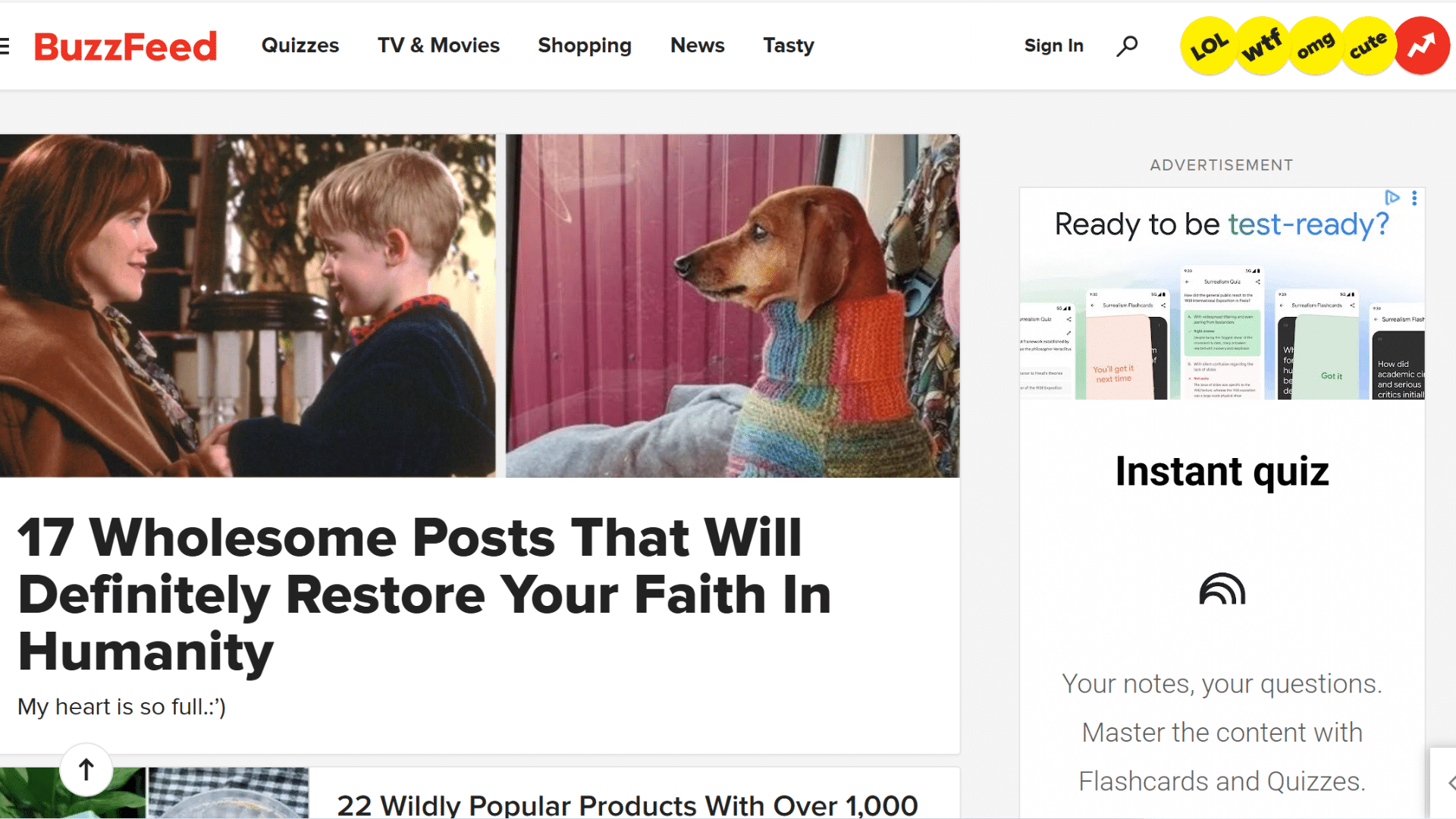 buzzfeed homepage article about wholesome posts featuring an image of a boy and a dog in a colorful sweater