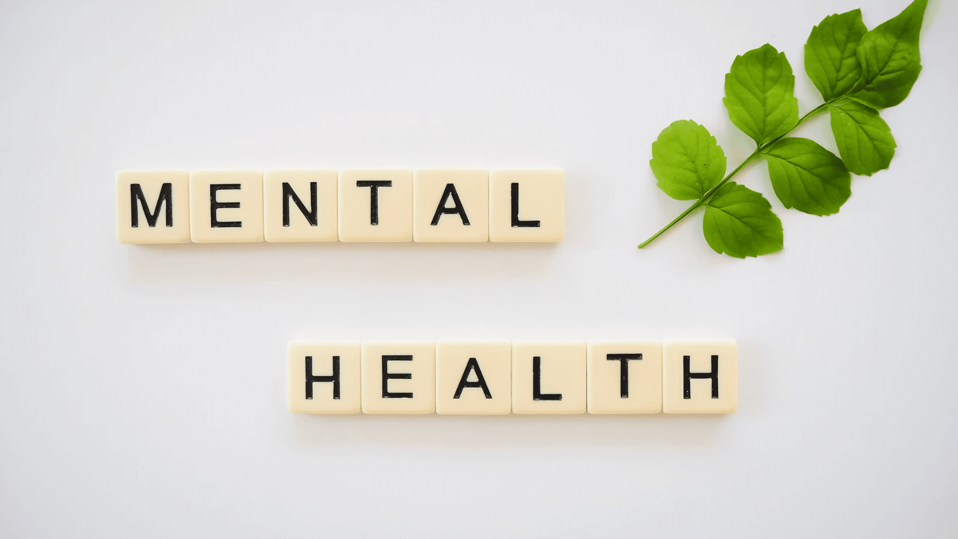 letter tiles spelling mental health beside a green leafy branch on a white background promoting wellbeing awareness