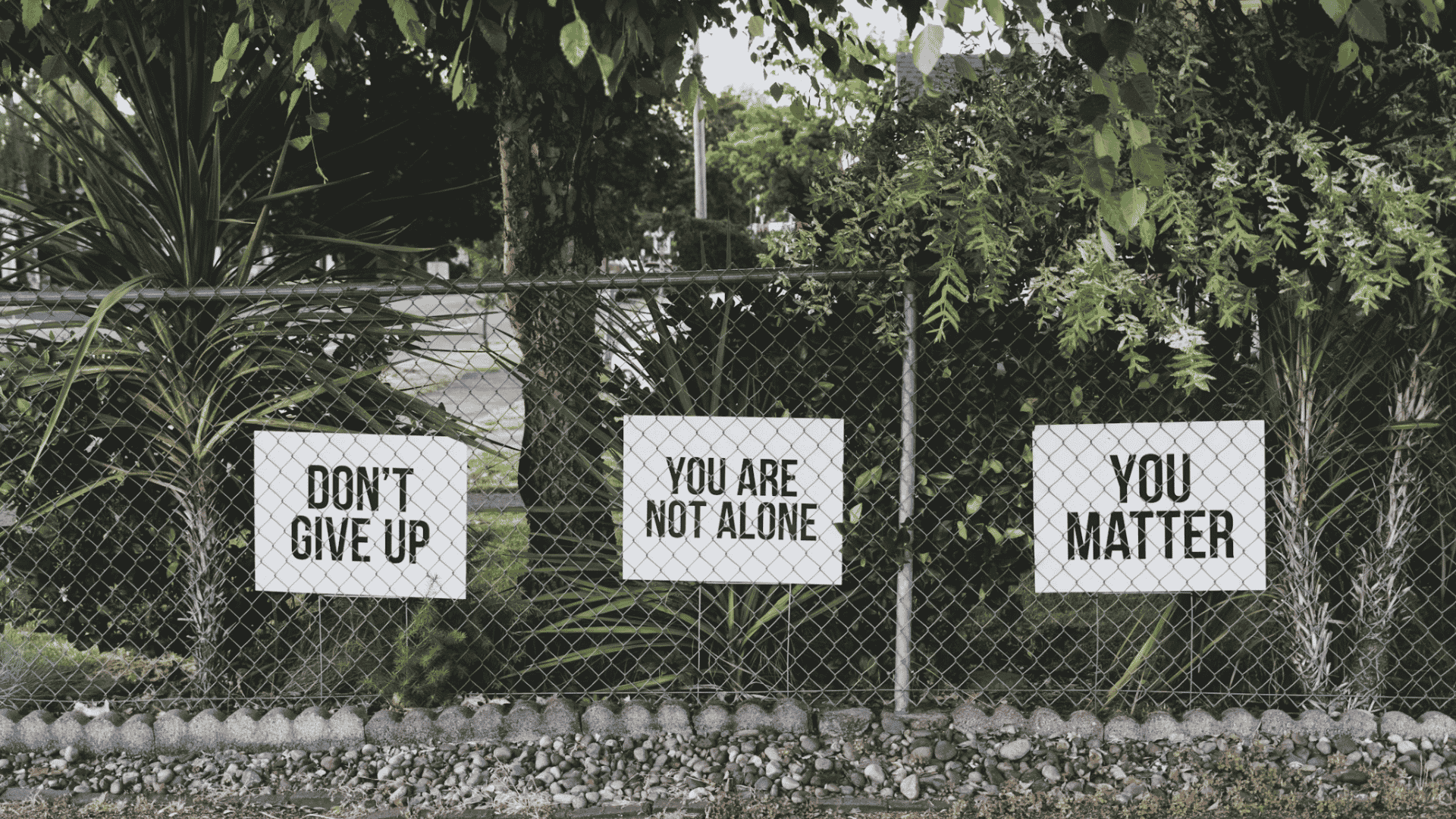 supportive signs on a fence reading dont give up you are not alone and you matter among greenery